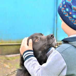 ����: ������� ����� ���� ������������ 