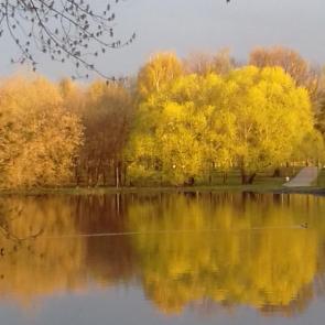 ����: ����������� ����� ���