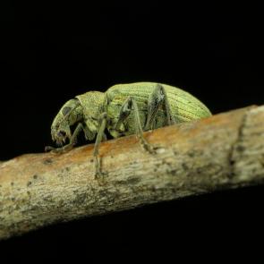 Фото: 