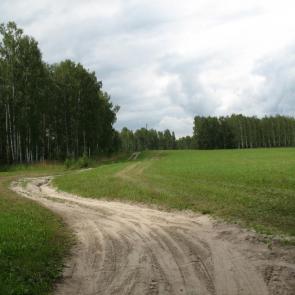 Фото: По кривой дорожке 