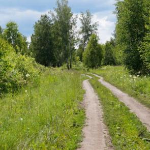Фото: Попово