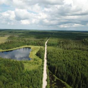 Фото: Дорога дорога