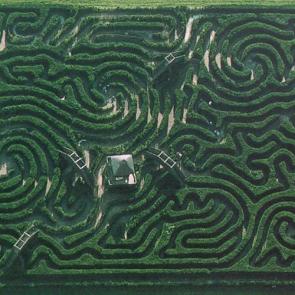 : Longleat Hedge Maze