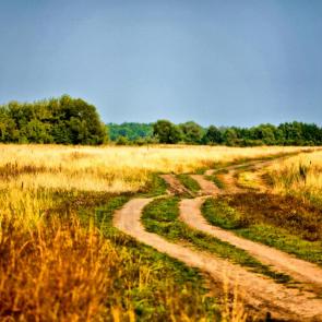 Фото: Июльский день