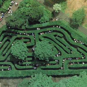 : Hampton Court Maze