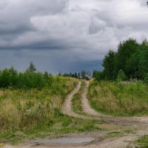Фото: Августовский денек