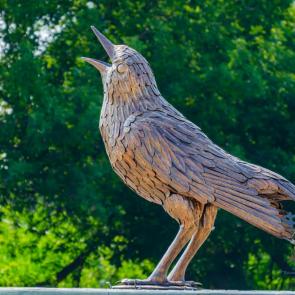 ����: ���������� ������������� ������� �����