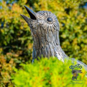 ����: ������� ������� �� ����� ������������� 