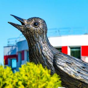 ����: ������� ������� �� ����� ������������� 