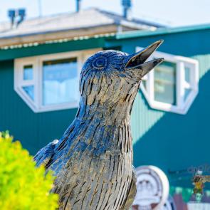 ����: ������� ������� �� ����� ������������� 