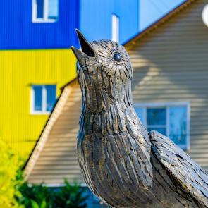 ����: ������� ������� �� ����� ������������� 