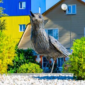 ����: ������� ������� �� ����� �������������