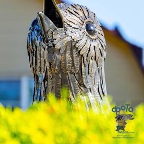 ����: ������� ������� �� ����� ������������� 