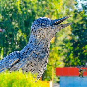 ����: ������� ������� �� ����� ������������� 