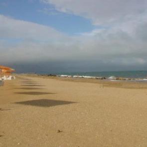 ����: ����� ������