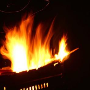 ����: �����