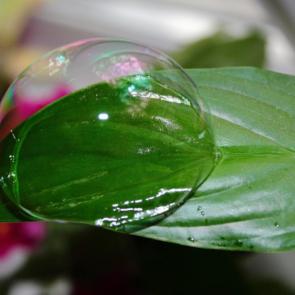 ����: �����������