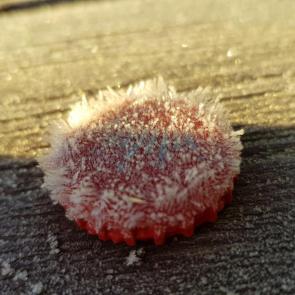 ����: ��� ����� ������