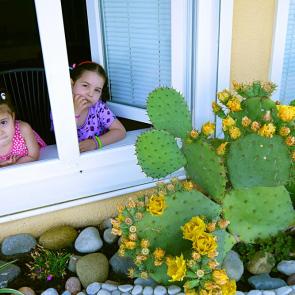 ����: ���� ���� 