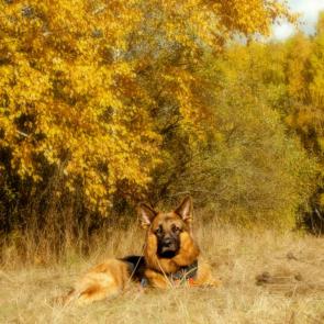 ����: ������� ������ �����