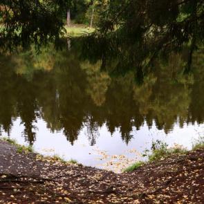 ����: ��������� � �����