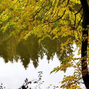 ����: ������� �����