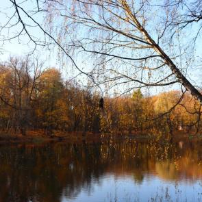 ����: ���� � ������