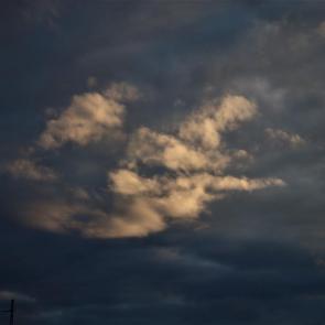 ����: ����