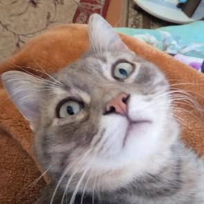 :   
