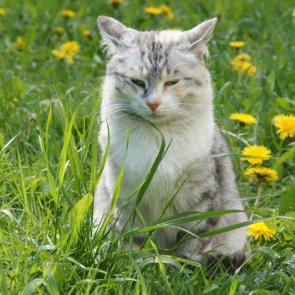 ����: ������ �������� ��� � �����