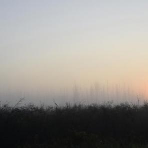 ����: ������ ����