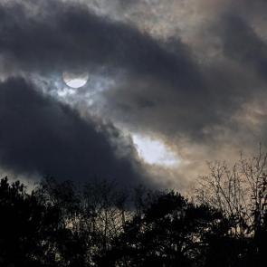 ����: �������� ����