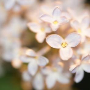 ����: ���������� ������