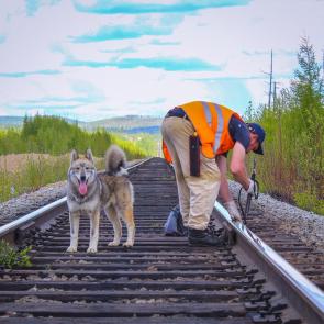 ����: ������ �������� ���������