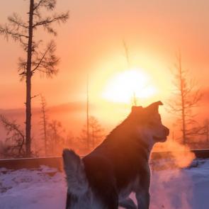 ����: ϸ� ����� � �������� ���� ����� 53�