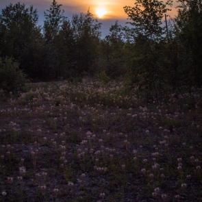 ����: ����� �� �����