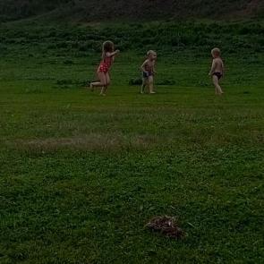 ����: ���������