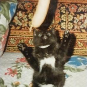 : 