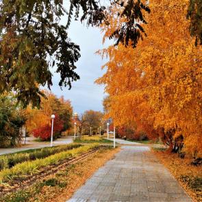 ����: ����� ������ ��������� �����