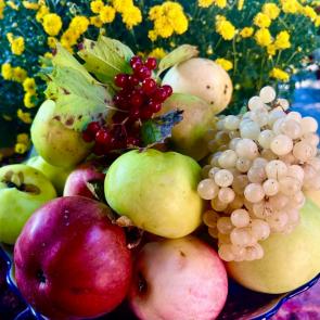 ����: �����