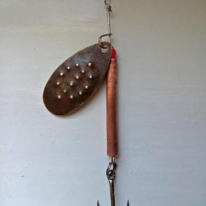 ����: ��������