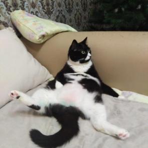 :     