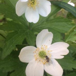 ����: ���� ������