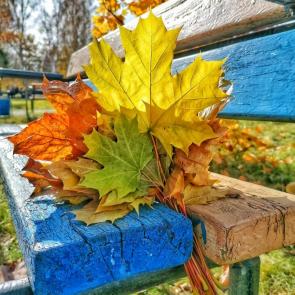 ����: ������� �����