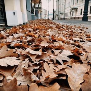 Фото: Дорога в осень