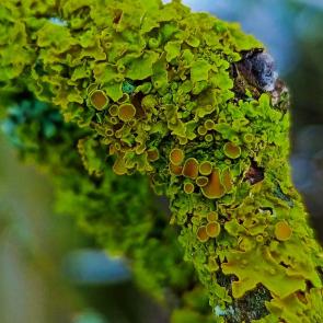 Фото: 