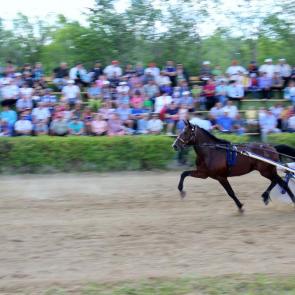 ����: �� ���������