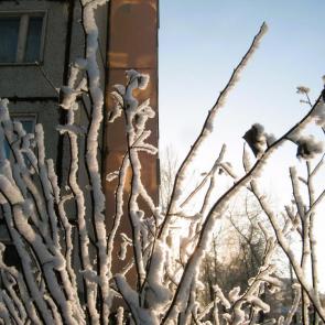 Фото: Зимний день.