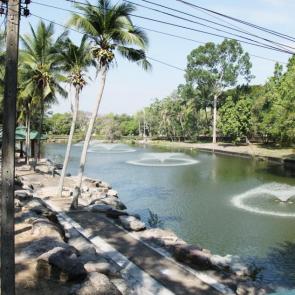 ����: ������