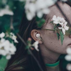 ����: ��� ����